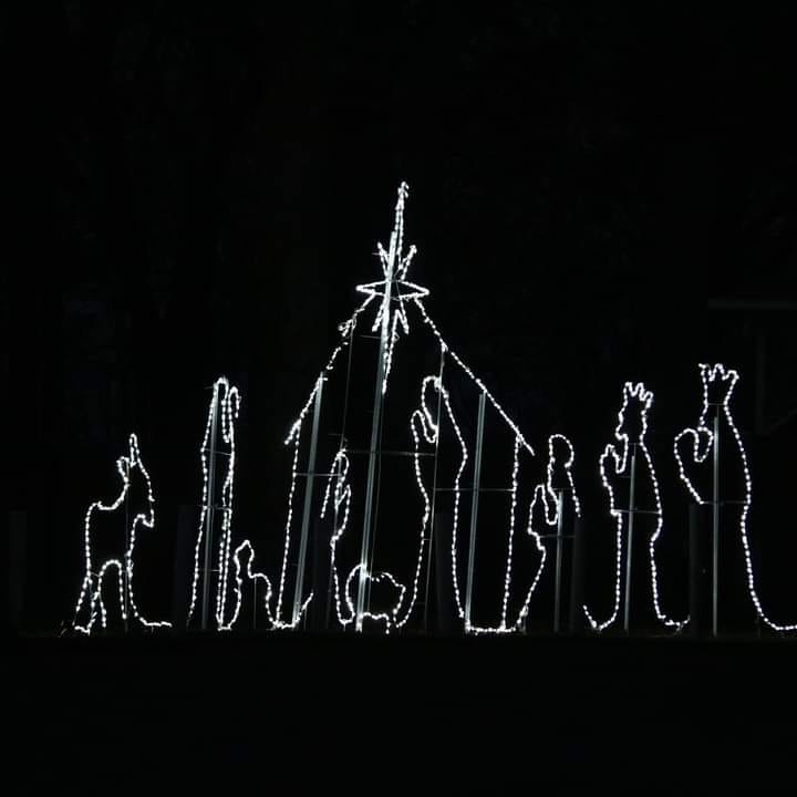 Newton Christmas Lights in the Park