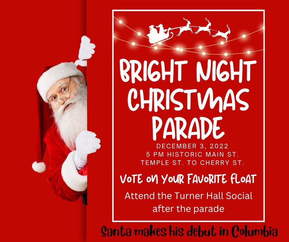 Bright Night Christmas Parade