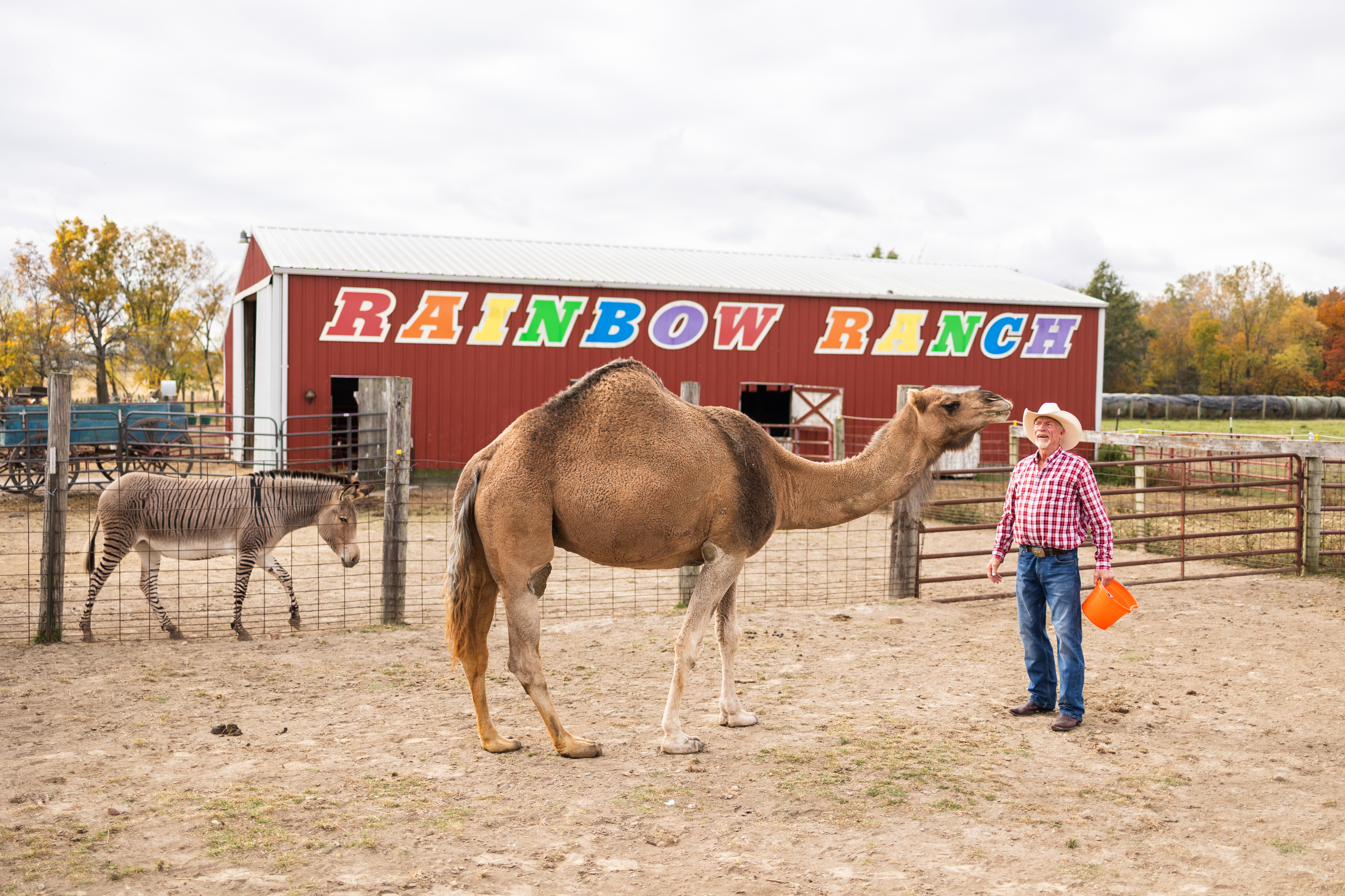 Baby Bonanza at Rainbow Ranch