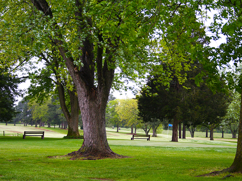 White Oak Golf Course
