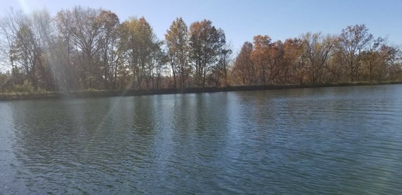 Conservation Lake