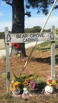 Bear Grove Cabins