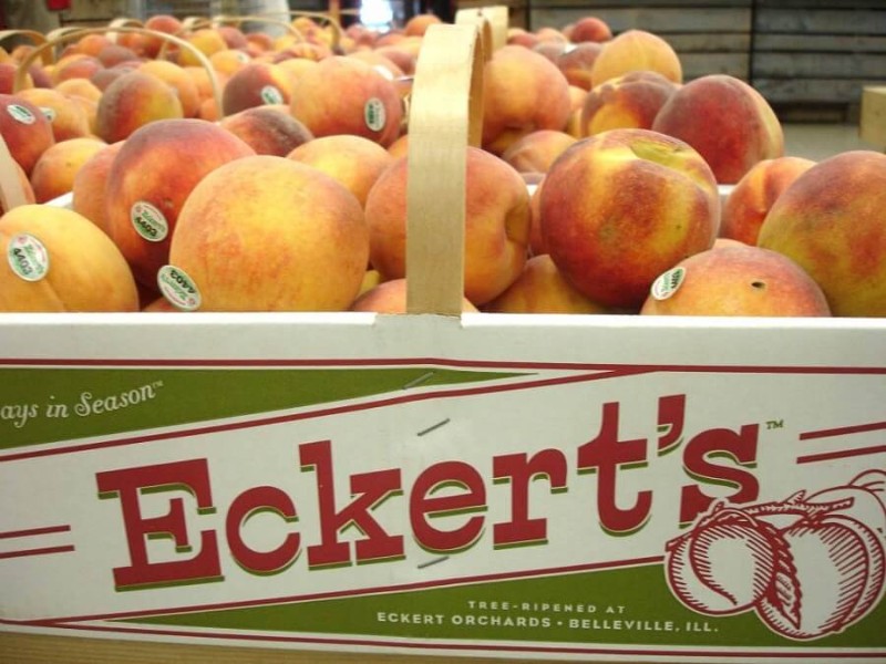 Eckert's Country Store & Farms